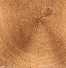 如何防止木材变形